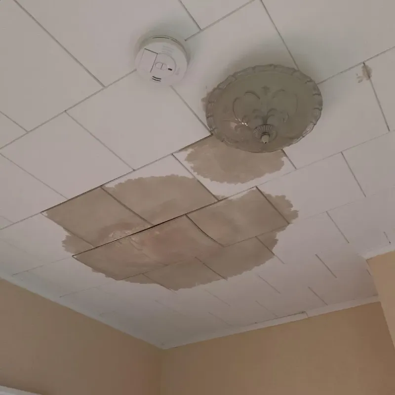 Ceiling Water Damage Repair in Lame Deer, MT