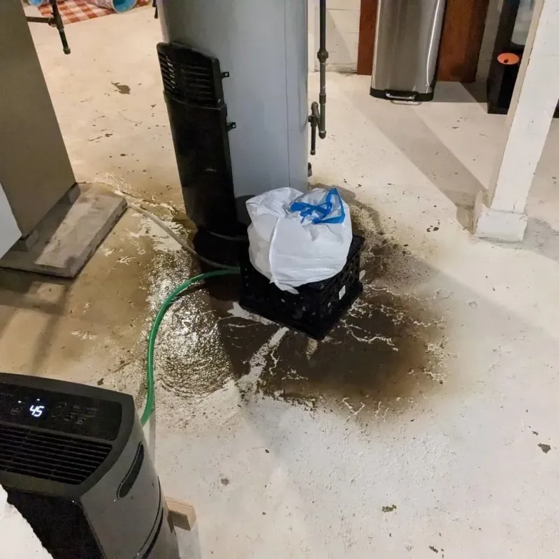 Sewage Backup Cleanup Service in Lame Deer, MT